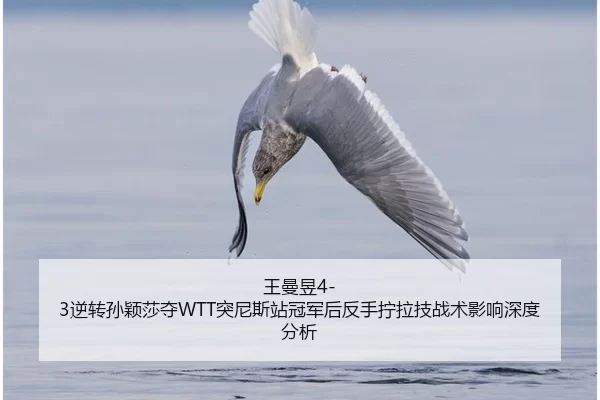 王曼昱4-3逆转孙颖莎夺WTT突尼斯站冠军后反手拧拉技战术影响深度分析
