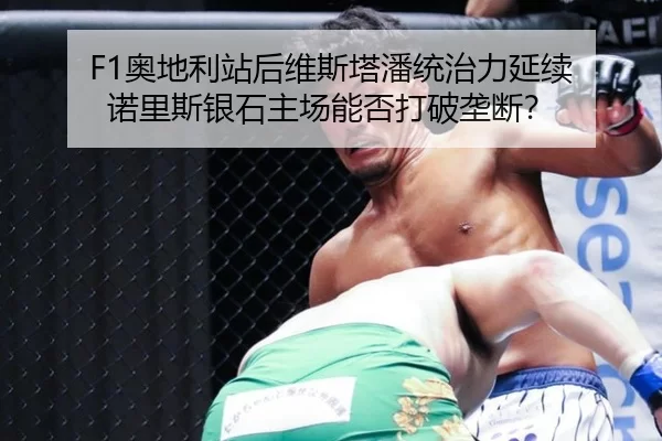F1奥地利站后维斯塔潘统治力延续 诺里斯银石主场能否打破垄断？